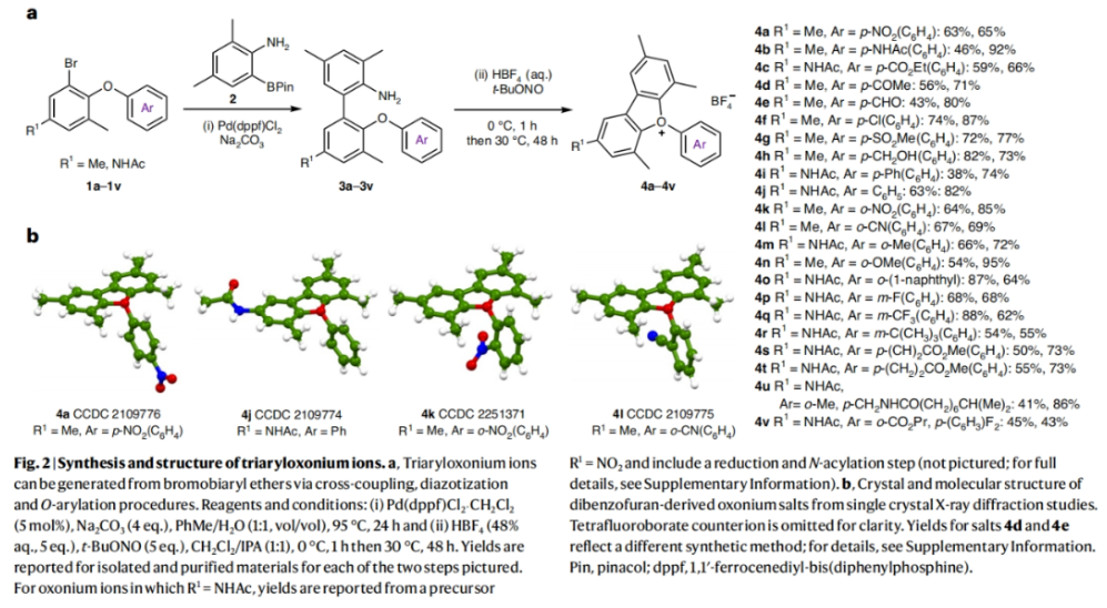 1698204754910795.png image.png