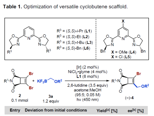 1698636243947822.png image.png