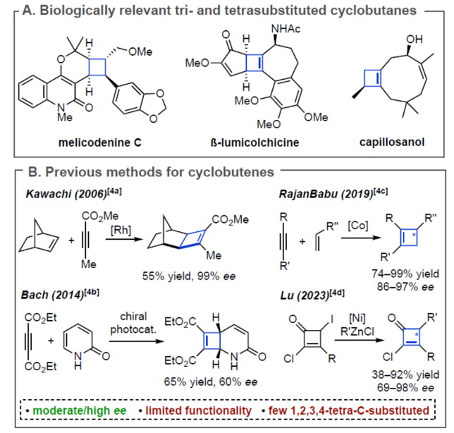 1698636295903426.png image.png