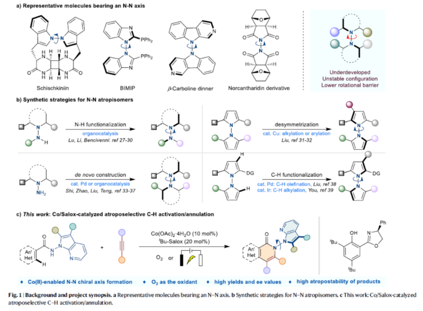 1698983416655892.png image.png