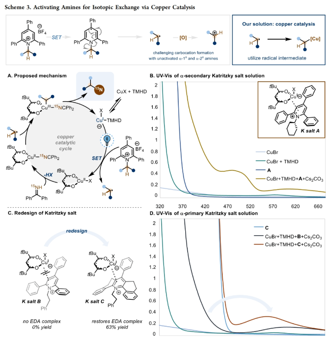 1698988170555223.png image.png