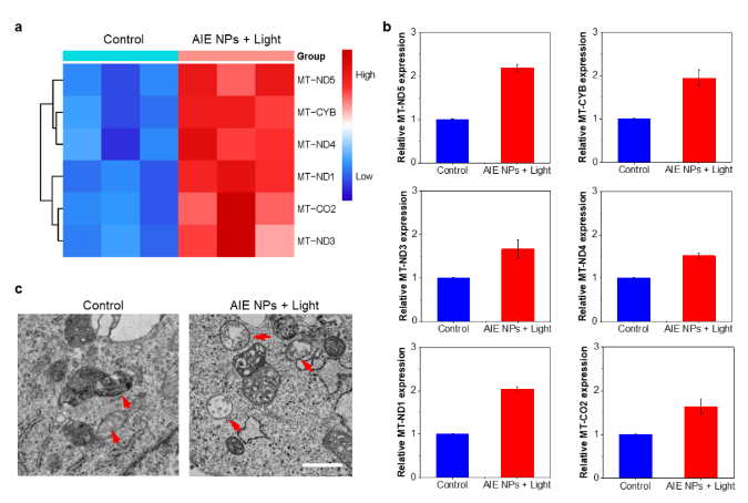 1698989873671982.png image.png