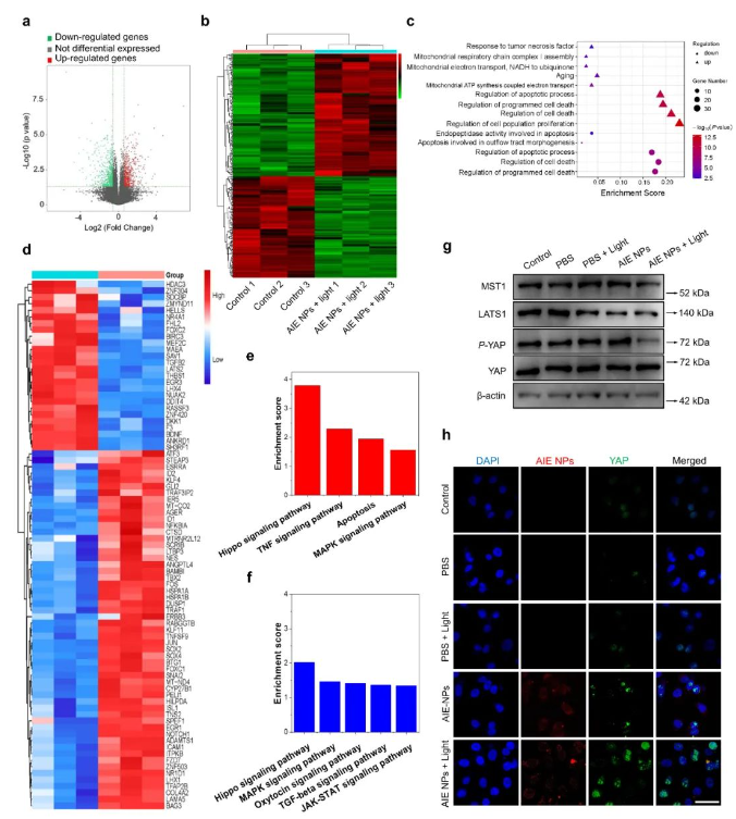 1698989880734057.png image.png