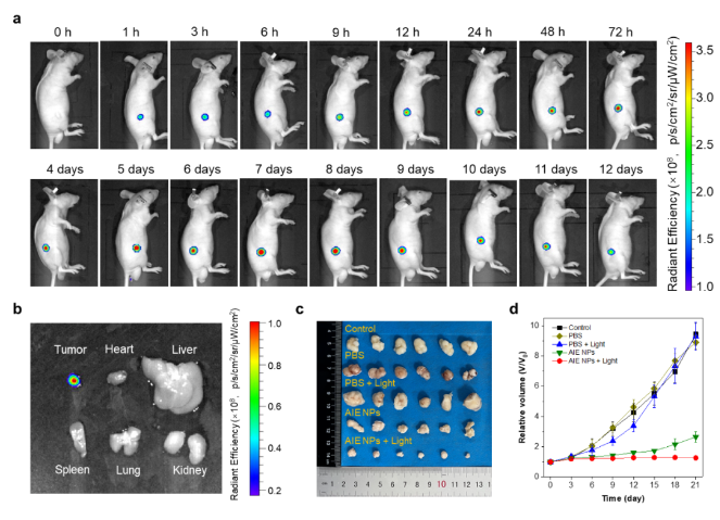 1698989887379735.png image.png