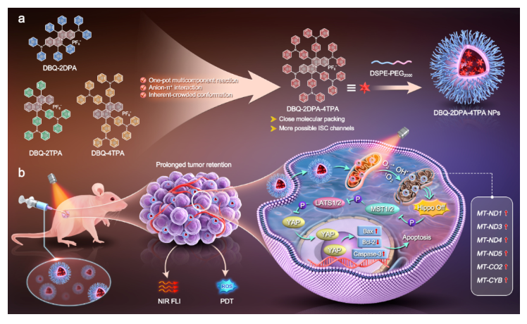 1698989930995201.png image.png