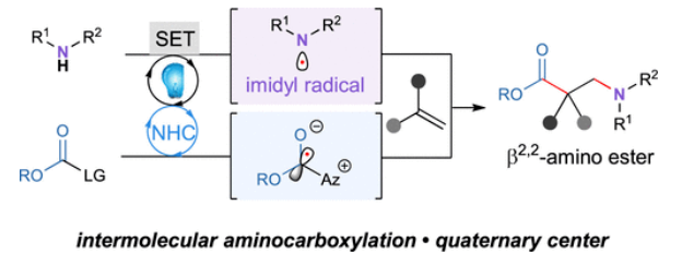 1699247896100349.png image.png