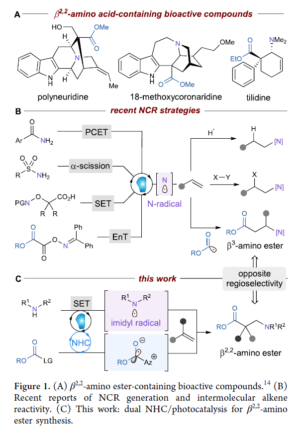 1699247913174122.png image.png