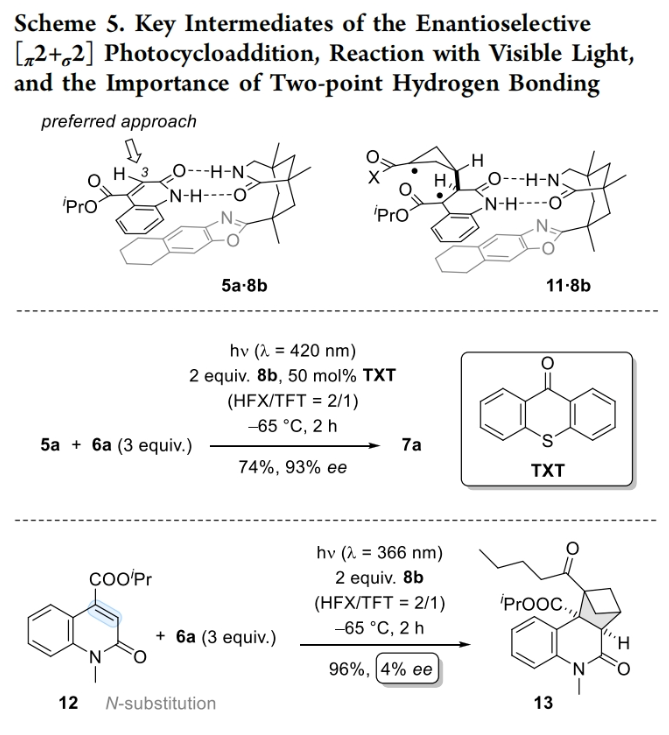 1699415764891150.png image.png