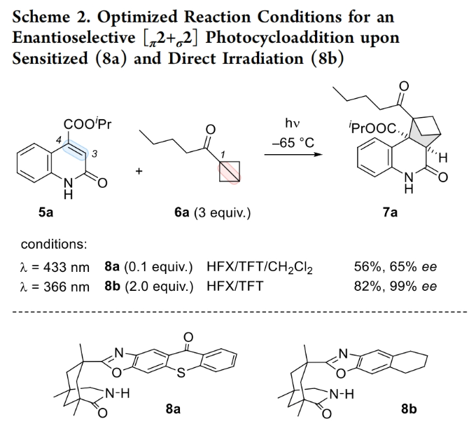 1699415845680309.png image.png