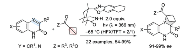 1699415858598951.png image.png