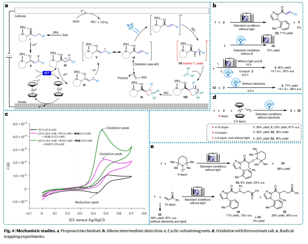 1699509425130384.png image.png