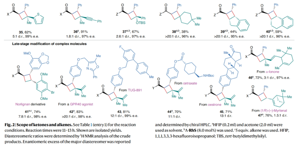 1699509485344408.png image.png