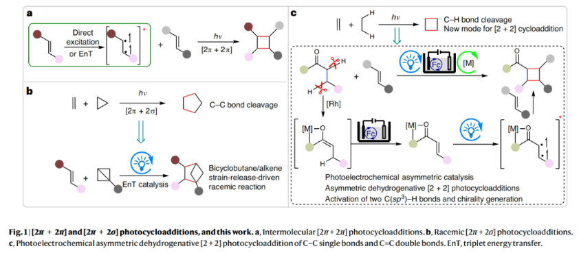 1699509517227349.png image.png