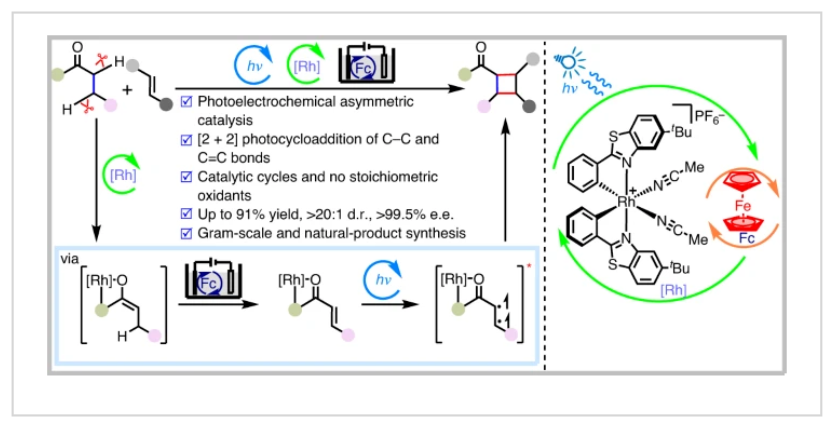 1699509524925225.png image.png