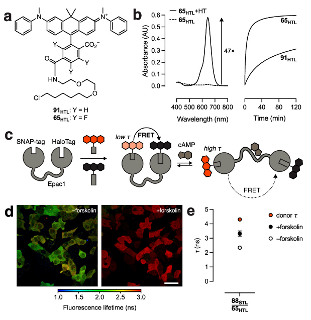 1699519723508298.png image.png