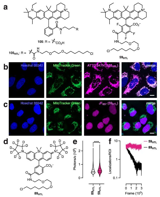 1699519743898265.png image.png