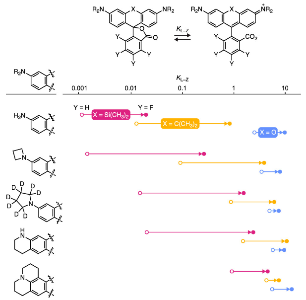 1699519756440916.png image.png