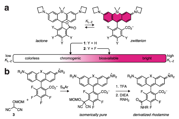 1699519769694798.png image.png