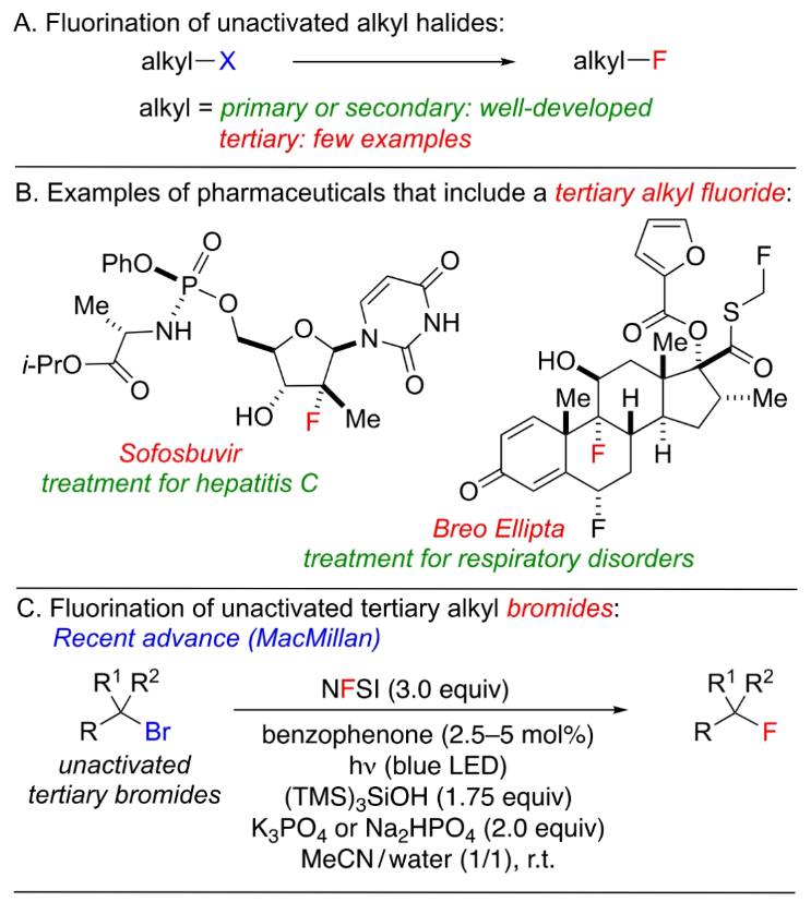 1699840962634097.png image.png