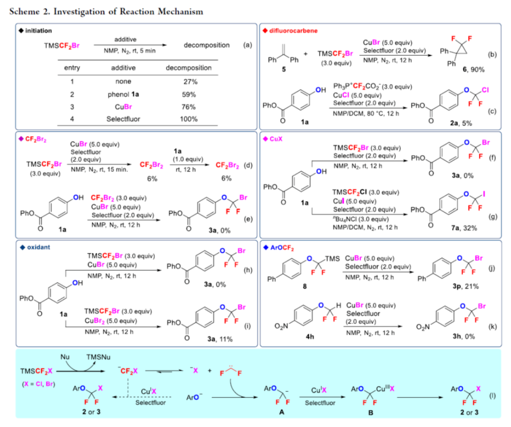 1700011470549499.png image.png