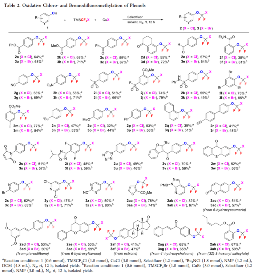 1700011504403301.png image.png