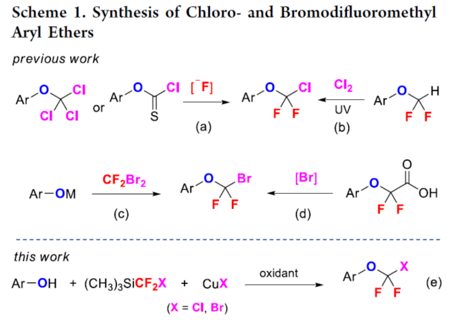 1700011528454437.png image.png