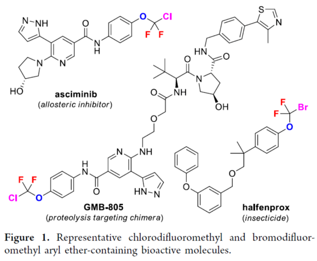 1700011537650217.png image.png