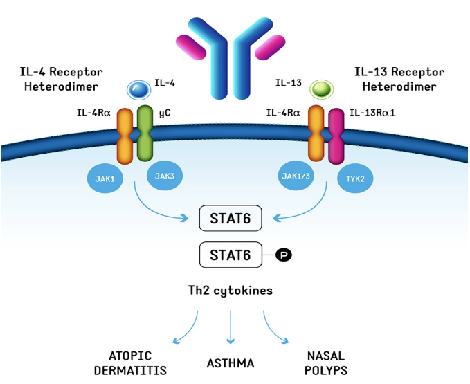 1700634473995165.png image.png