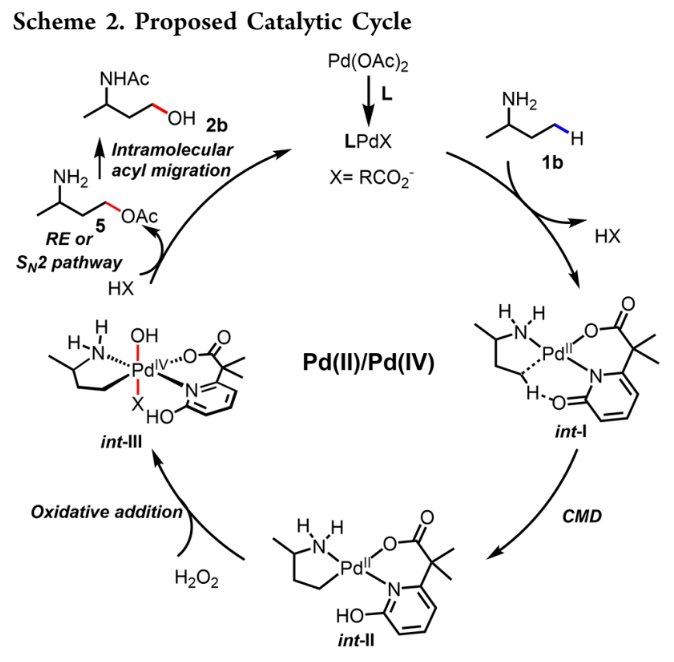 1700794022985750.png image.png