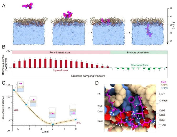 1701414917873196.png image.png