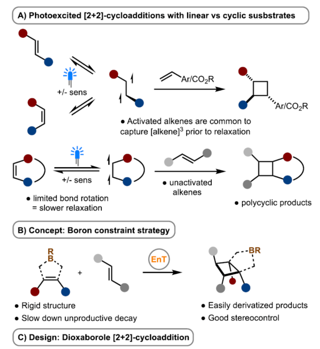 1701660199604366.png image.png