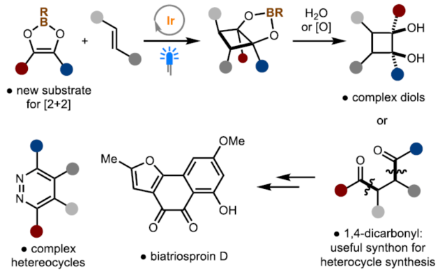 1701660207546196.png image.png