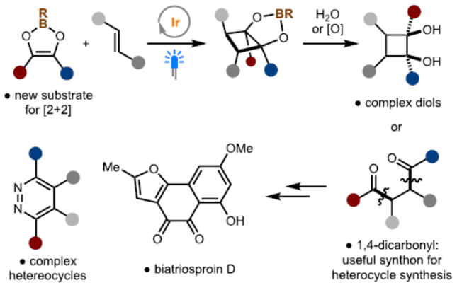 1701660221632728.png image.png