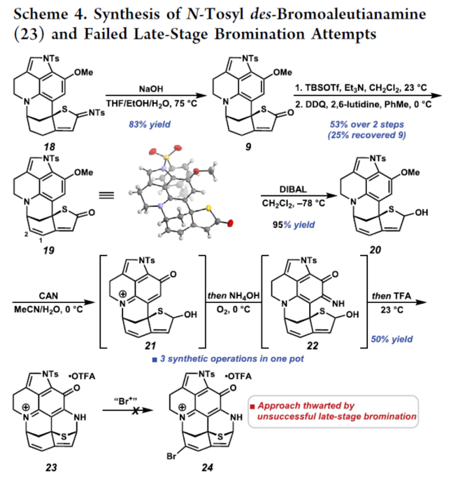 1701741428428597.png image.png