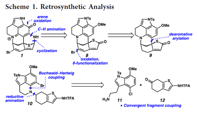 1701741464550381.png image.png