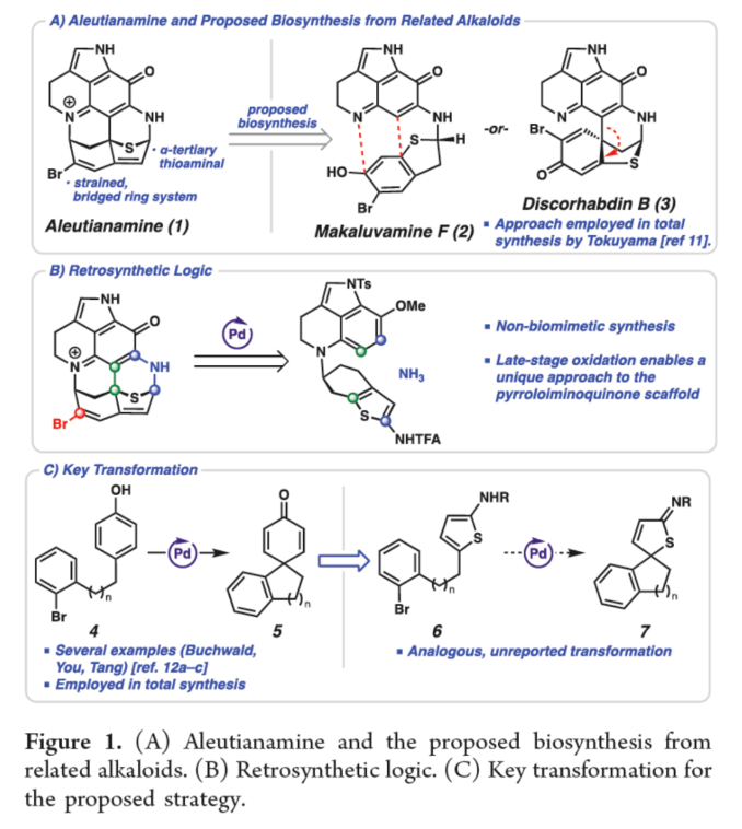 1701741477448395.png image.png