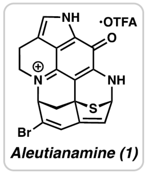 1701741485813312.png image.png