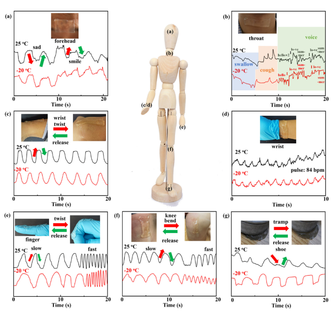 1701741769931403.png image.png