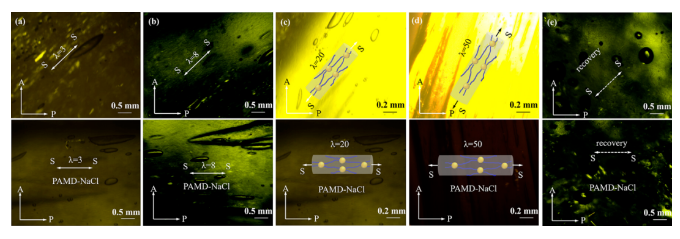 1701741794887931.png image.png