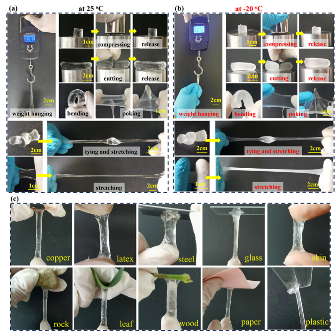 1701741812260889.png image.png