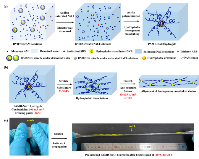 1701741829401839.png image.png