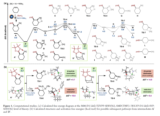 1702620307876726.png image.png