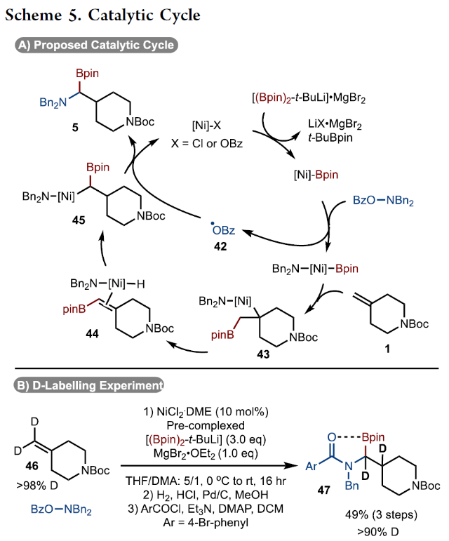 1702620332806404.png image.png