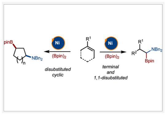 1702620432544696.png image.png