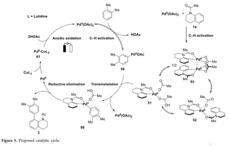 1704330623403732.png image.png