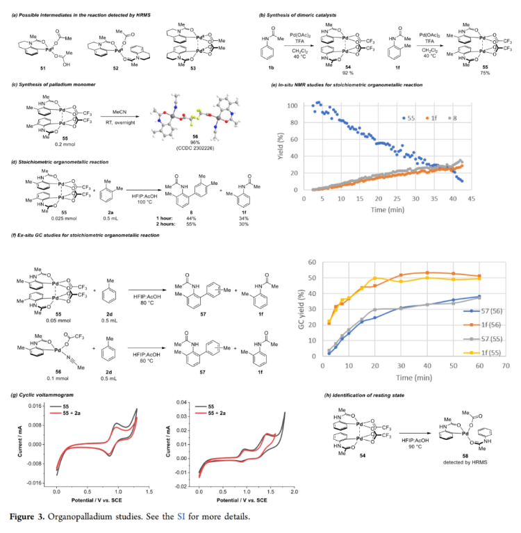 1704330654533630.png image.png