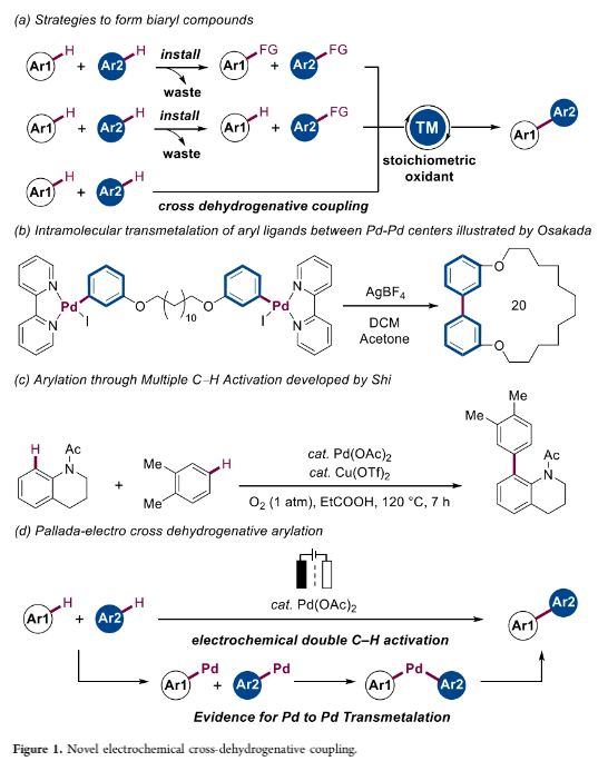 1704330731795250.png image.png