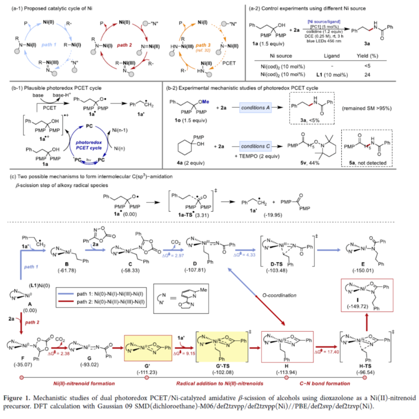 1704334927319091.png image.png