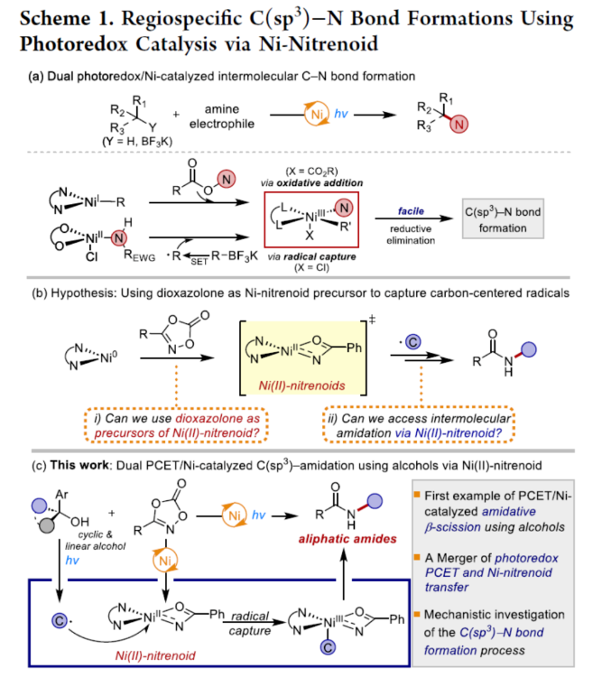 1704334997968598.png image.png