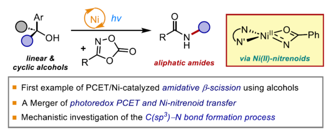 1704335004951996.png image.png